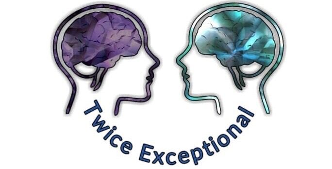 Helen Trethewey's Twice Exceptional Learners
